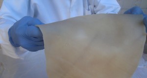 Etec de Franca desenvolve pele artificial a partir de tecido suíno