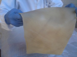 Etec de Franca desenvolve pele artificial a partir de tecido suíno